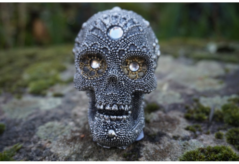 67001 B LOT DE CRANE TETE DE MORT SAGESSE GOTHIQUE HEROIC SKULL